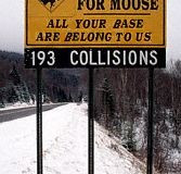ayb-moose