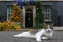20221021-larry-the-cat