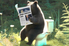 20230614-boris-do-bears-shit-in-the-woods
