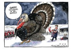 20170625-theresa-may-flavour-of-the-month-turkey