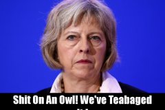20170703-theresa-may-sshot-on-an-owl