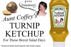 20230225-turnip-ketchup