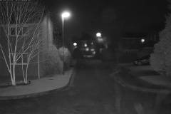 2021-01-10-2.jpg