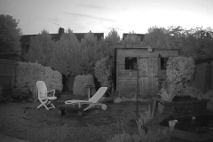 Garden 2021_05_16_032923.jpg