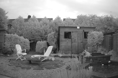 Garden 2021_05_29_032223.jpg