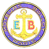 badge-ballot