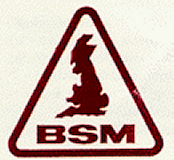 badge-bsm-2