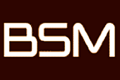 badge-bsm-4