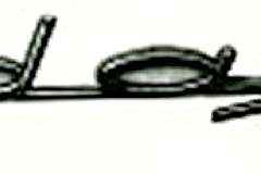badge-daf-2