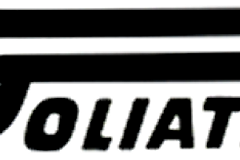 badge-goliath