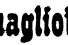 badge-quagliotti