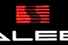 badge-saleen