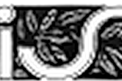 badge-voisin