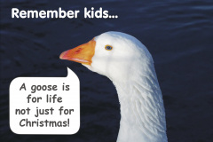 xmas2003