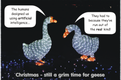 xmas2023