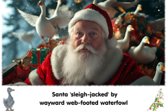 xmas2025-garfnet