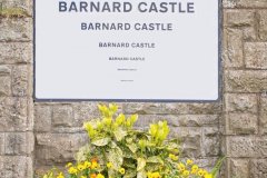 20200525-barnard-castle-eye-test-2