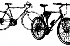 bikes