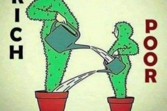 20220926-trickle-down-plants