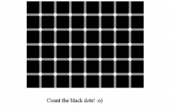 illusion-black-dotsi