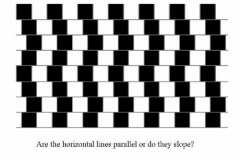 illusion-horizontal-lines