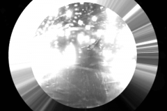 ledwht