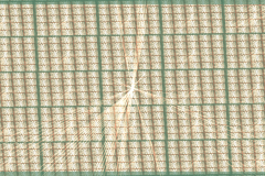 projectm-0333
