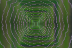 projectm-0346