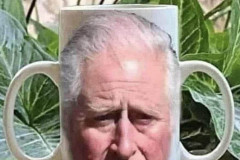 20230321-charles-windsor