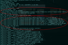 Screenshot_20201203_014926_highlighted