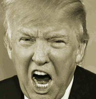 20260718-trump-hitler-morph