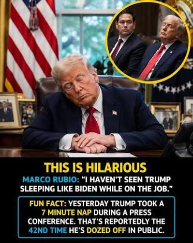 20260817-trump-aasleep-hilarious