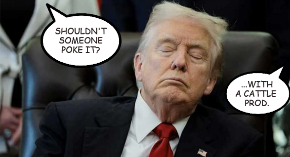 20260817-trump-asleep-poke
