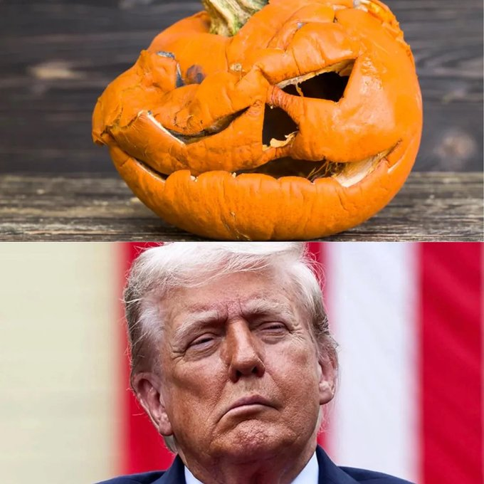 20260825-trump-pumpkin