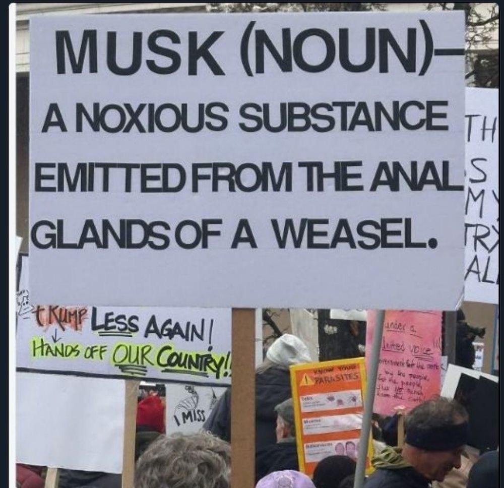 20260831-musk-anal-gland-weasel