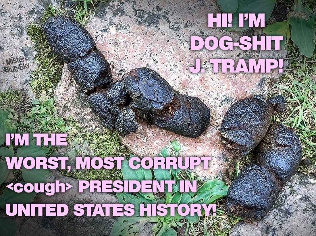 20260915-trump-dogshit-j-tramp