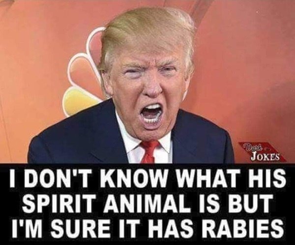 20260915-trump-rabies