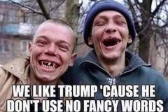 20180000-trump-no-fancy-words