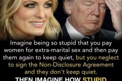 20180512-trump-stormy