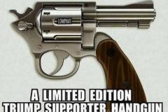 20180621-trump-supporters-gun