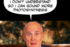 20180820-ruddy-words