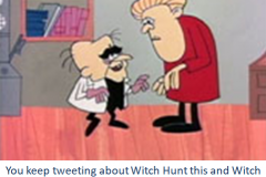 20180820-trump-witch-hunt