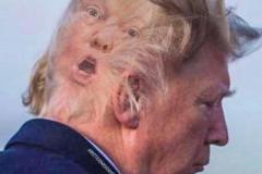 20180821-trump-hair-no