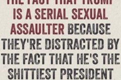 20180822-trump-assaulter