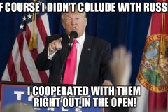 20180822-trump-colluded