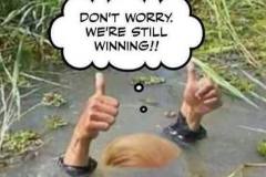 20180822-trump-still-winning