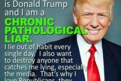 20180826-trump-pathologivcal-liar