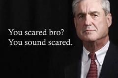20180827-mueller-scared-bro