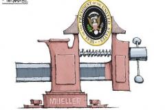 20180829-mueller-vice