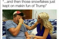 20180903-snowflakes-making-fun-of-trump